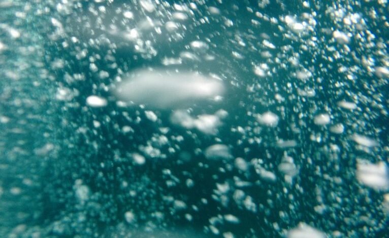 high density call management