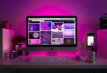 movie streaming website platform
