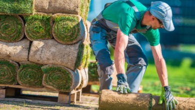 Turf In Ulladulla: A Local Guide To Choosing, Installing, And Maintaining A Lush Lawn