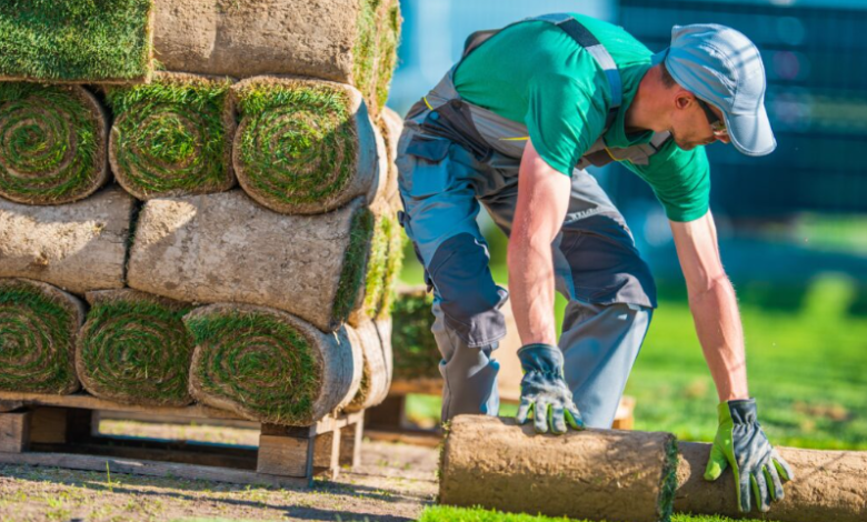 Turf In Ulladulla: A Local Guide To Choosing, Installing, And Maintaining A Lush Lawn