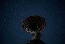 telecom council contact numbers