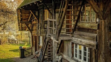 Building with Integrity: How Timber Construction Shapes Reliable and Thoughtful Homes